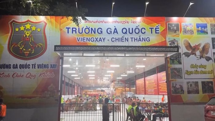 Cảnh sát bóc gỡ đường dây đánh bạc xuyên quốc gia với số tiền giao dịch khổng lồ hơn 1.200 tỷ đồng. Ảnh: Bộ Công an.