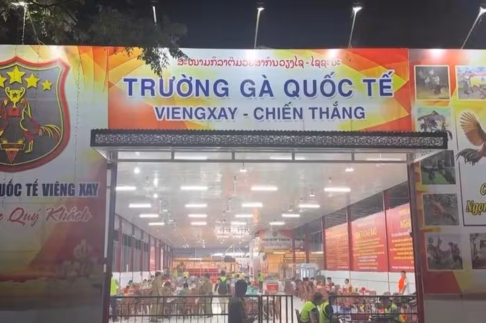 Triệt phá trường gà quốc tế Viêng Xay: 1.200 tỷ đồng và 196 bị can