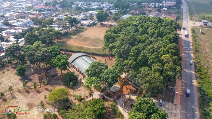 Toàn cảnh Di tích quốc gia đặc biệt Mộ Cự Thạch Hàng Gòn. Ảnh: Văn Trường